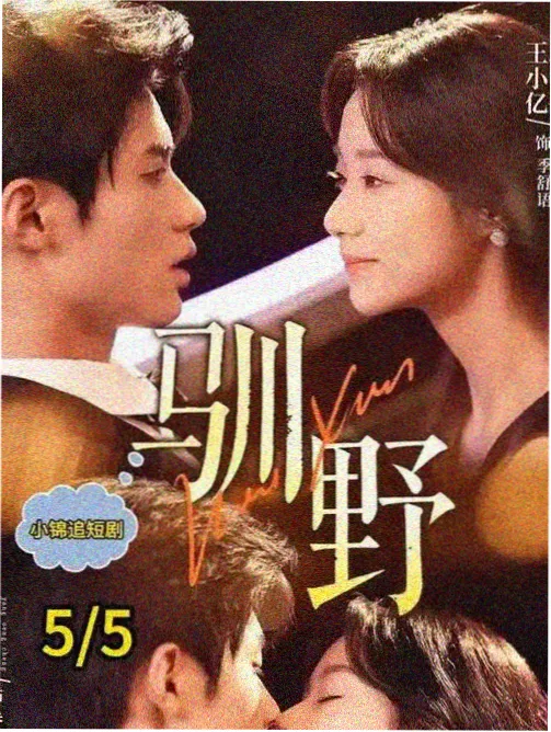 悬案在线电视剧 黑白禁区